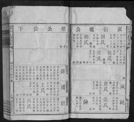 湖南李氏族谱-邵陵汉口李氏家乘.pdf电子版插图2