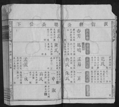 湖南李氏族谱-邵陵汉口李氏家乘.pdf电子版插图3