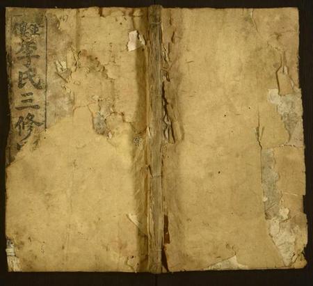 湖南李氏族谱-金楼李氏三修宗谱.pdf电子版插图 湖南李氏族谱-金楼李氏三修宗谱.pdf电子版插图