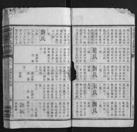 湖南李氏族谱-金盆李氏族谱.pdf电子版插图3 湖南李氏族谱-金盆李氏族谱.pdf电子版插图3