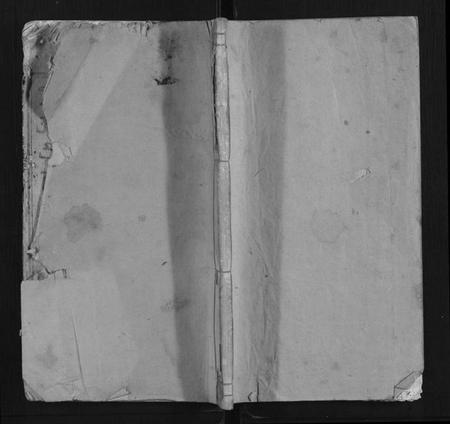 湖南李氏族谱-鸿宁李氏三修支谱[8卷].pdf电子版