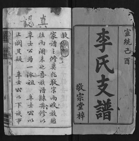 湖南李氏族谱-鸿宁李氏三修支谱[8卷].pdf电子版插图1