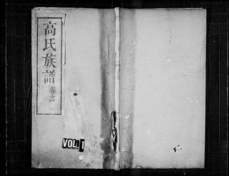 湖北高氏族谱-高氏族谱 [10卷,首2卷].pdf电子版