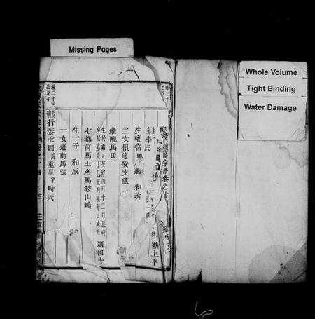 浙江朱氏族谱-棠溪朱氏宗谱 [残卷].pdf电子版插图2