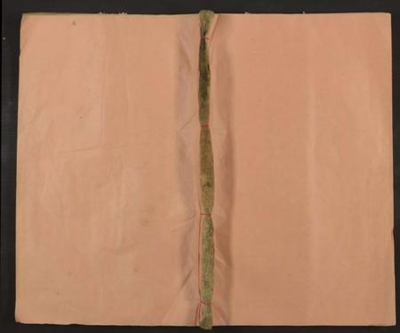 湖南李氏族谱-李氏族谱 [不分卷].pdf电子版