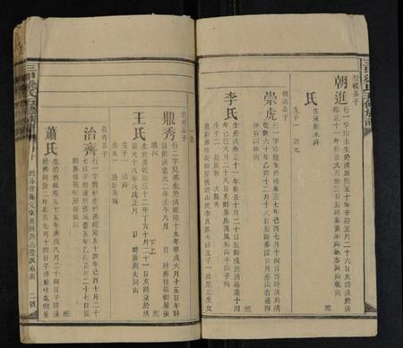 湖南梁氏族谱-三甲梁氏五修族谱 [残13卷].pdf电子版插图2