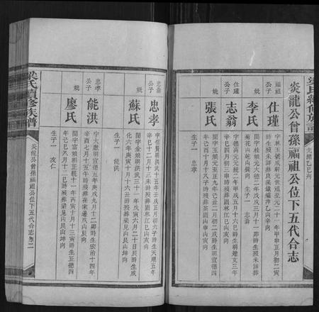 湖南梁氏族谱-梁氏续修族谱.pdf电子版插图2