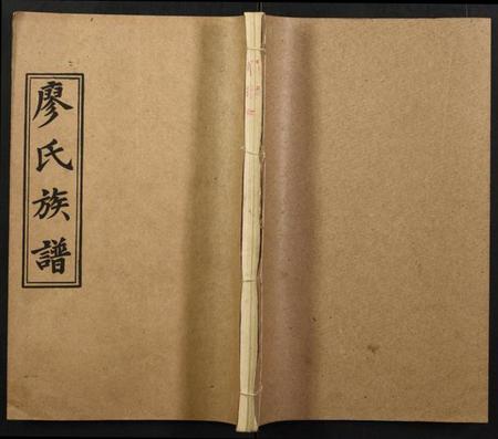 湖南廖氏族谱-廖氏族谱.pdf电子版