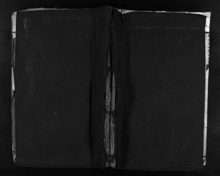 浙江吴氏族谱-乐清花浃吴氏宗谱 [不分卷].pdf电子版插图1