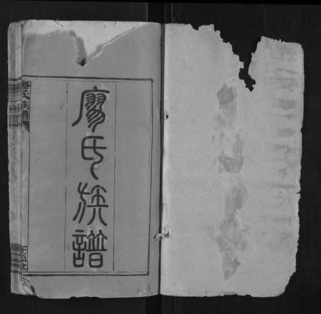 湖南廖氏族谱-廖氏族谱[17卷首1卷].pdf电子版插图1