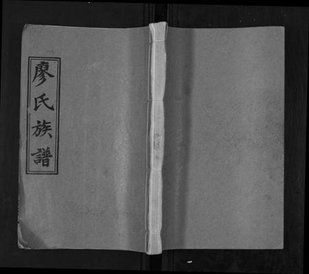 湖南廖氏族谱-廖氏族谱[35卷首5卷].pdf电子版