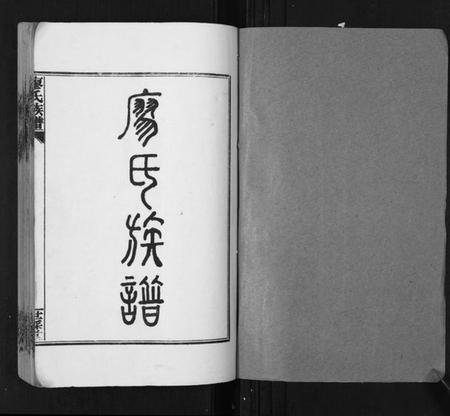 湖南廖氏族谱-廖氏族谱[35卷首5卷].pdf电子版插图1