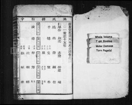 浙江吴氏族谱-樊川吴氏宗谱 [4卷].pdf电子版插图2