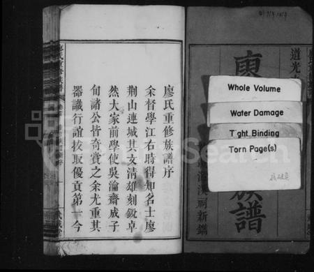 湖南廖氏族谱-廖氏重修族谱 [16卷,首1卷].pdf电子版插图3