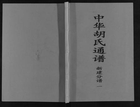 江西胡氏族谱-中华胡氏通谱新建分谱[3卷].pdf电子版