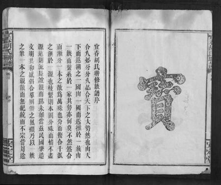 江西胡氏族谱-宜春胡氏联谱[24卷首末各1卷].pdf电子版插图3