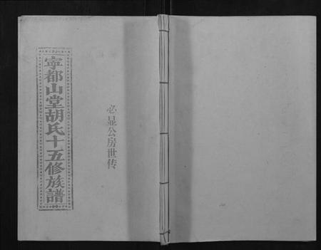 江西胡氏族谱-宁都山堂胡氏十五修族谱.pdf电子版