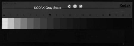 浙江楼氏族谱-楼氏宗谱 [6卷].pdf电子版