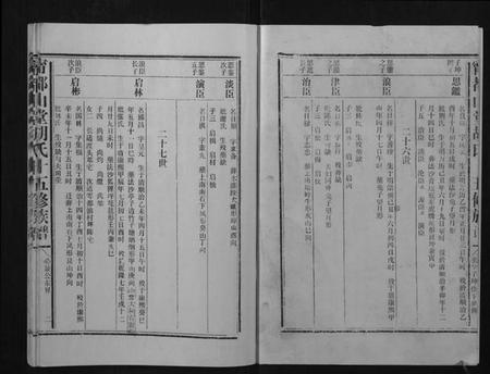 江西胡氏族谱-宁都山堂胡氏十五修族谱.pdf电子版插图2