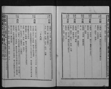 江西胡氏族谱-宁都山堂胡氏十五修族谱.pdf电子版插图3