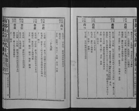 江西胡氏族谱-宁都山堂胡氏十五修族谱.pdf电子版插图4