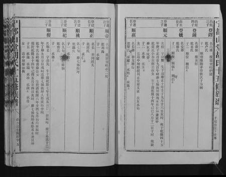 江西胡氏族谱-宁都山堂胡氏十五修族谱.pdf电子版插图5