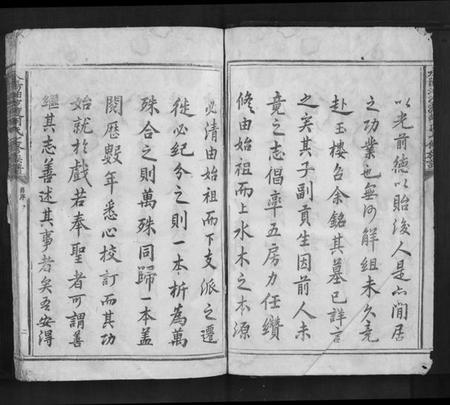 江西胡氏族谱-永阳油沙渡胡氏七修族谱[不分卷].pdf电子版插图4