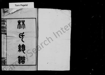 湖南林氏族谱-林氏总谱 [12卷].pdf电子版插图2