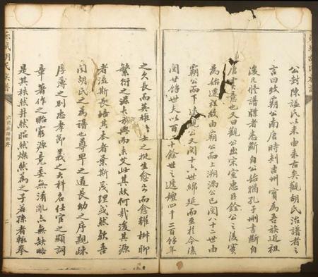 江西胡氏族谱-芗城胡氏族谱.pdf电子版插图1