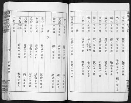 湖南林氏族谱-沩甯林氏支谱.绍肃房[4卷].pdf电子版插图3