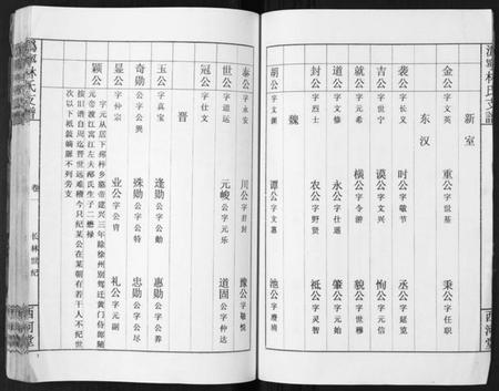 湖南林氏族谱-沩甯林氏支谱.绍肃房[4卷].pdf电子版插图4