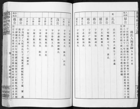 湖南林氏族谱-沩甯林氏支谱.绍肃房[4卷].pdf电子版插图5