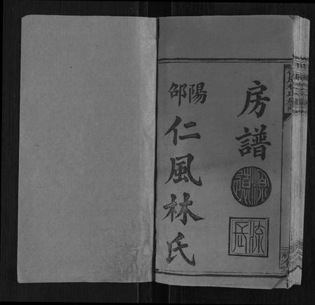 湖南林氏族谱-邵陵仁风林氏房谱[6卷首末各1卷].pdf电子版插图1