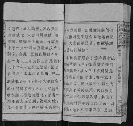 湖南林氏族谱-邵陵仁风林氏房谱[6卷首末各1卷].pdf电子版插图5