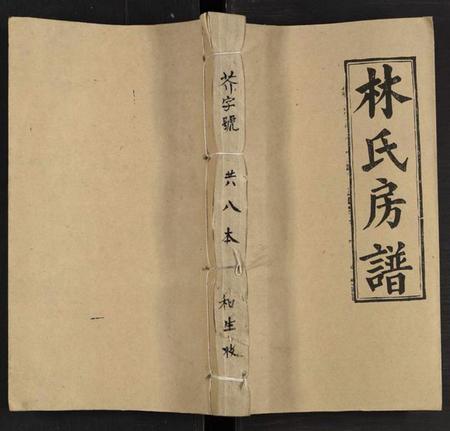 湖南林氏族谱-邵阳仁风林氏房谱 [6卷及卷首末].pdf电子版
