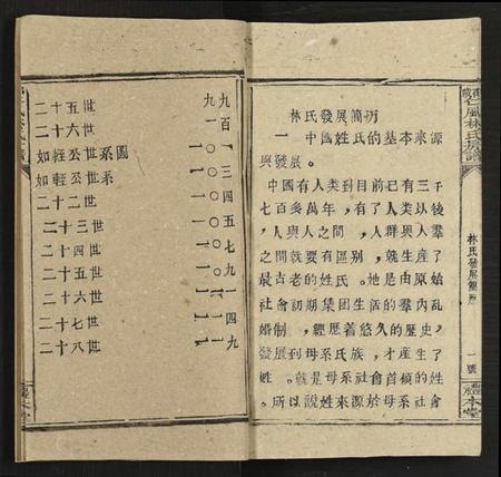 湖南林氏族谱-邵阳仁风林氏房谱 [6卷及卷首末].pdf电子版插图3