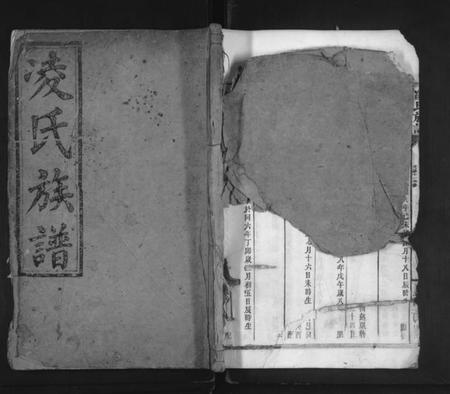 湖南凌氏族谱-凌氏宗谱 [残卷].pdf电子版