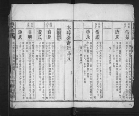 湖南凌氏族谱-凌氏宗谱 [残卷].pdf电子版插图2