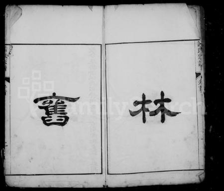 浙江许氏族谱-武林城东许氏宗谱 [10卷].pdf电子版插图4