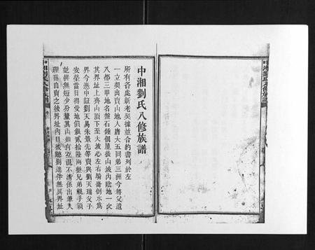 湖南刘氏族谱-中湘刘氏八修族谱[8卷].pdf电子版插图4