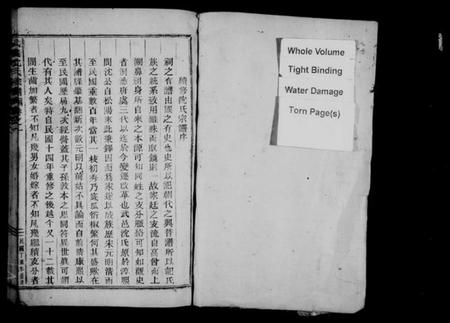 浙江沈氏族谱-武义沈氏宗谱 [5卷].pdf电子版插图2