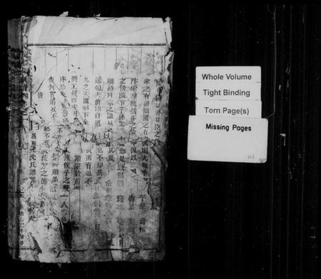 浙江沈氏族谱-武义沈氏宗谱 [5卷].pdf电子版插图2