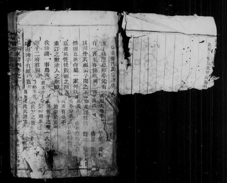 浙江沈氏族谱-武义沈氏宗谱 [5卷].pdf电子版插图3