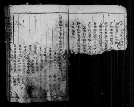 浙江沈氏族谱-武义沈氏宗谱 [5卷].pdf电子版插图4