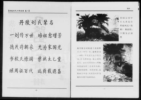 湖南刘氏族谱-丹陵刘氏七修族谱 [5卷].pdf电子版插图4