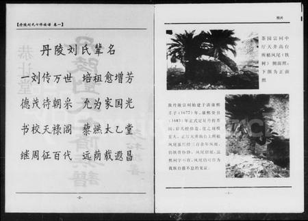 湖南刘氏族谱-丹陵刘氏七修族谱 [5卷].pdf电子版插图5