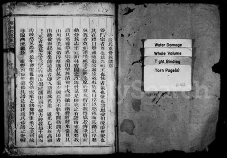 浙江段氏族谱-段氏族谱 [不分卷].pdf电子版插图3