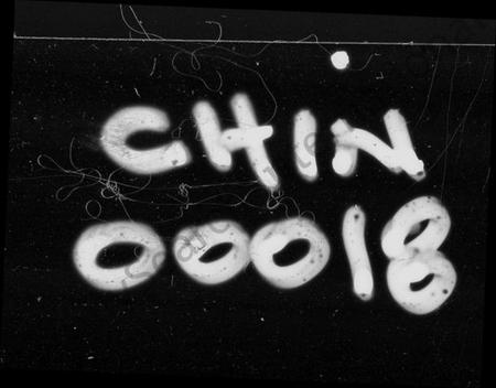 湖南刘氏族谱-刘氏五修支谱 [6卷,首末各1卷].pdf电子版插图1