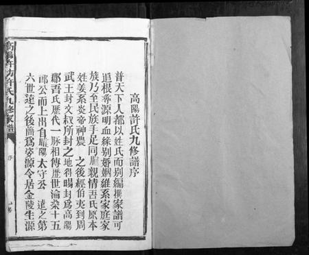 江西许氏族谱-高阳许坊许氏九修家谱[21卷].pdf电子版插图1