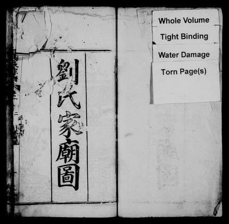 湖南刘氏族谱-刘氏宗谱 [18卷,首4卷].pdf电子版插图2